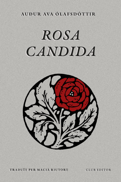 Rosa candida