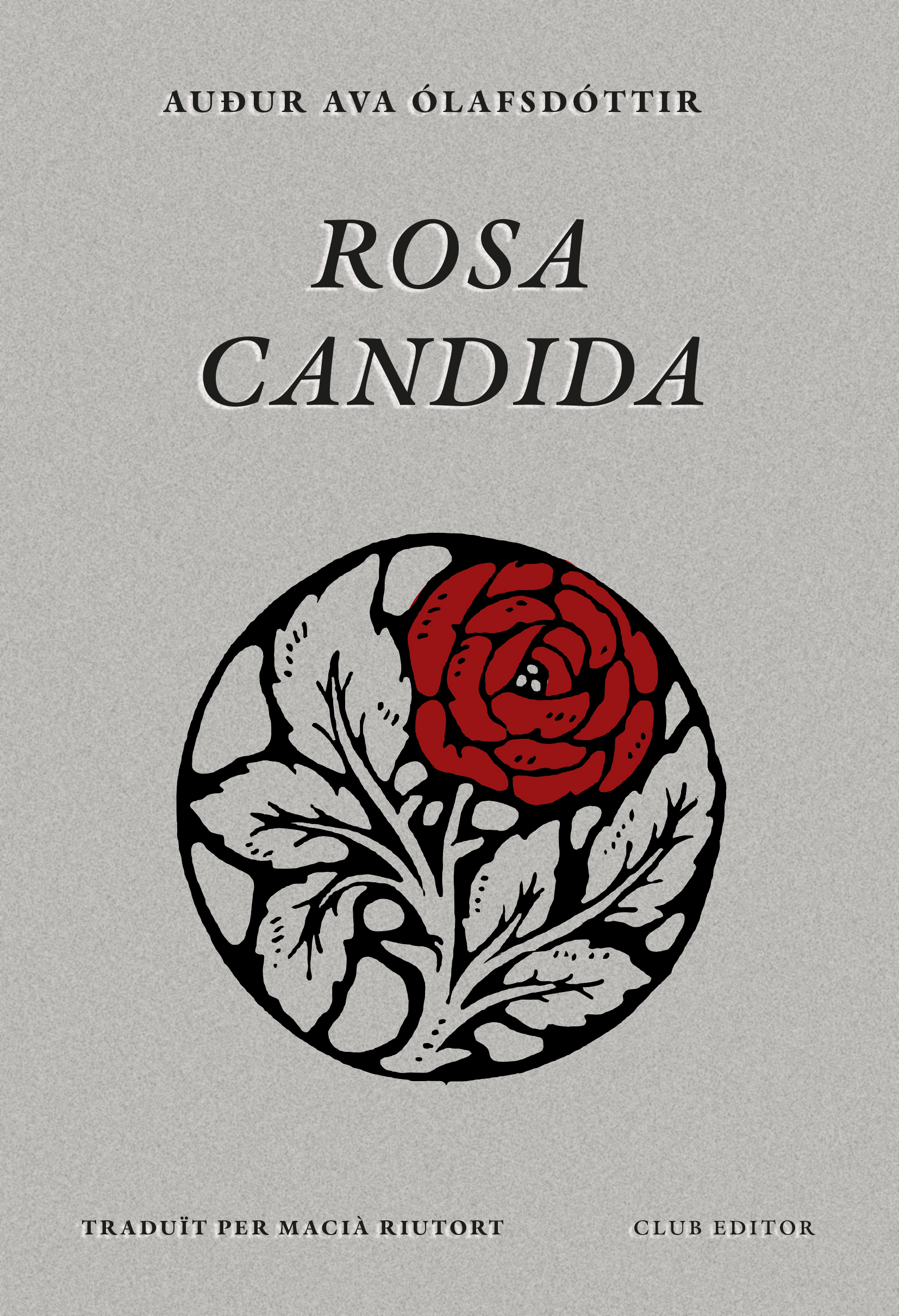 Rosa candida